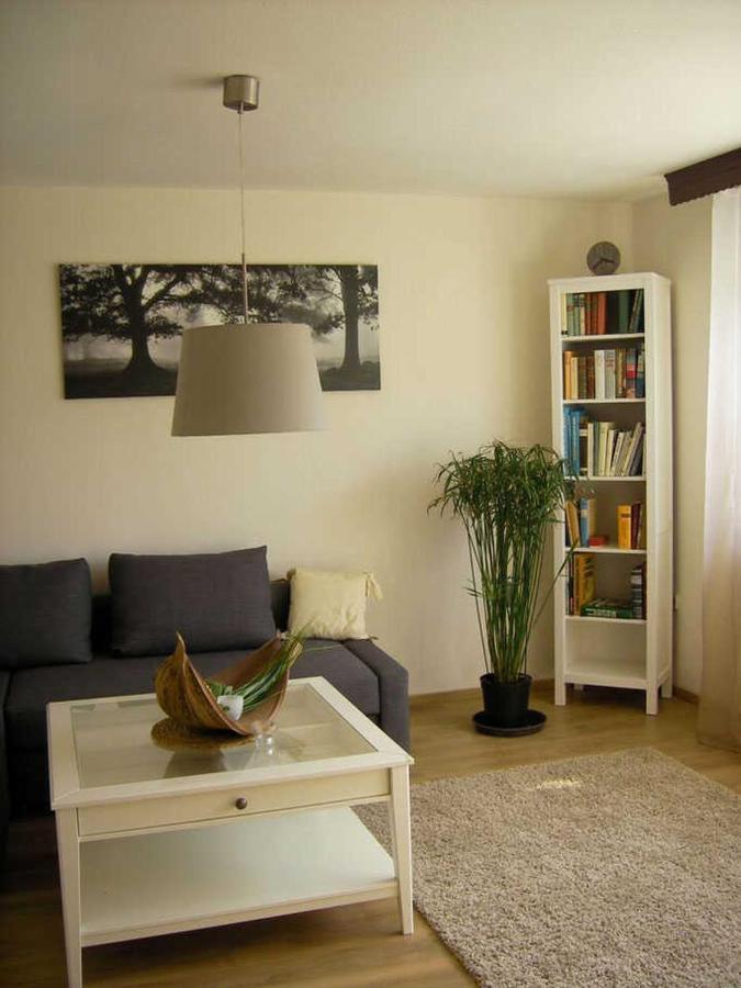 Haus Ellbogen Apartment Momlingen Екстериор снимка